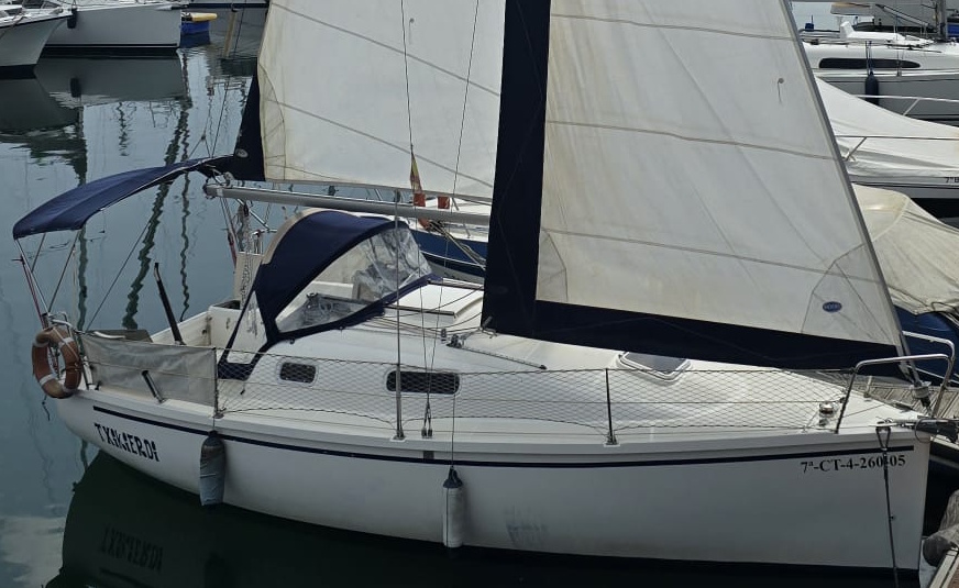 Serviola 26